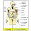 美国华裔科学家谈免疫系统的惊天真相