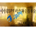 中国SPF鸡育种主持单位